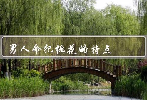 男人命犯桃花的特点（追求新鲜／容易受到诱惑／不成熟的情感观）