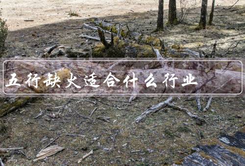 五行缺火适合什么行业，火焰舞蹈、烹饪行业、焊接行业