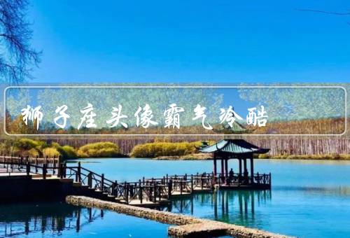 狮子座头像霸气冷酷，尊贵／独立／自信