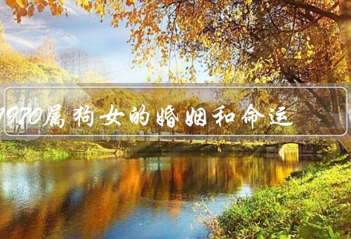 1970属狗女的婚姻和命运（性格特点、婚姻和家庭、事业和命运）