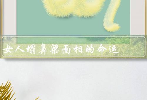 女人塌鼻梁面相的命运（带来的财运难题／感情生活的影响）
