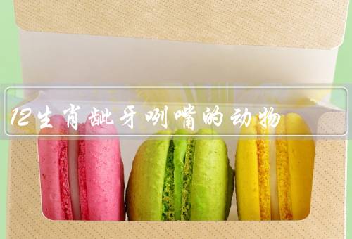 12生肖龇牙咧嘴的动物，老虎／狼／野猪