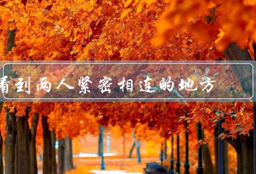 看到两人紧密相连的地方，亲情的紧密相连、友情的紧密相连