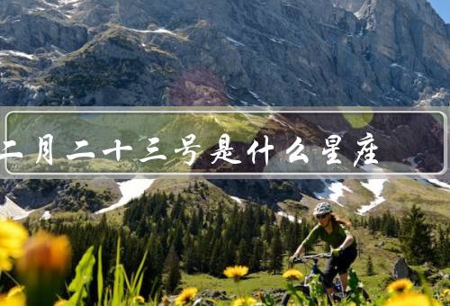二月二十三号是什么星座，特点／优点／缺点