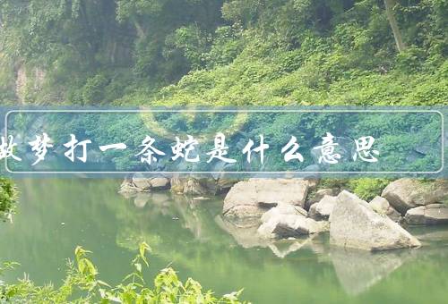 做梦打死一条蛇是什么意思，做梦打死一条蛇／消除困难