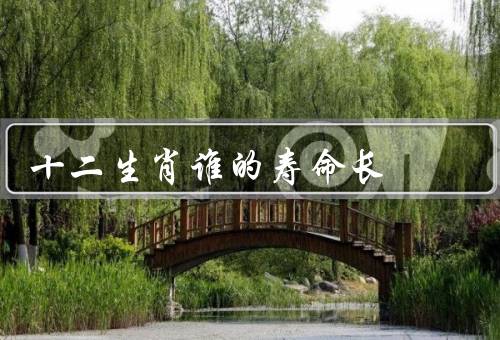 十二生肖谁的寿命长，龙／乌龟／麒麟