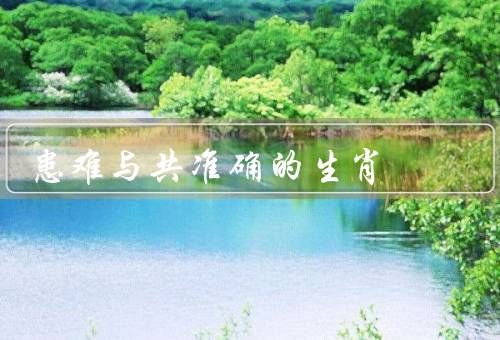 患难与共准确的生肖（鼠／牛／兔）