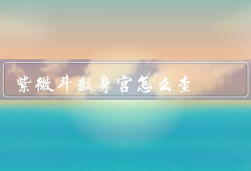 紫微斗数身宫怎么查，紫微斗数的基本概念／身宫的意义