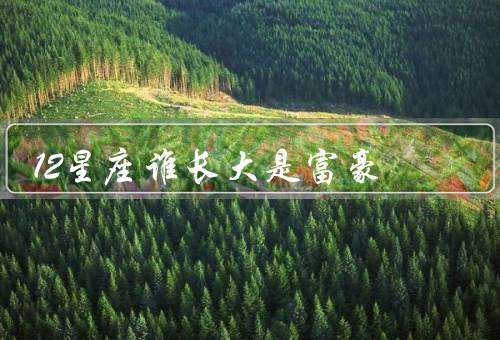 12星座谁长大是富豪（白羊座／金牛座／双子座）