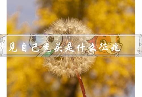 梦见自己秃头是什么征兆 女人