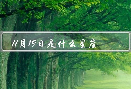 11月19日是什么星座（性格特点、爱情观、事业发展）
