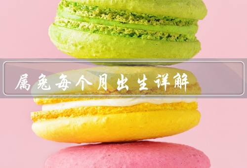 属兔每个月出生详解，正月出生／二月出生／三月出生