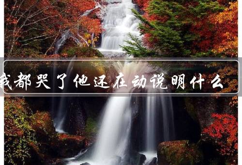疼我都哭了他还在动说明什么，坚持不懈的勇气／坚持信念的力量