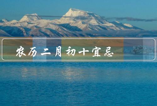 农历二月初十宜忌