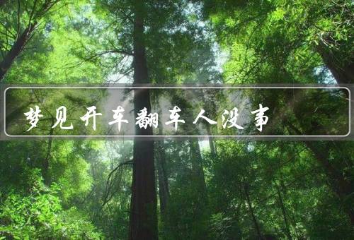 梦见开车翻车人没事，梦见开车翻车、幸运的奇迹、重新出发