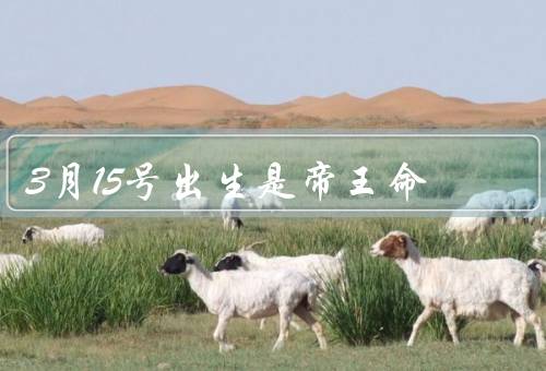 3月15号出生是帝王命（天命所归、智慧与独断、追求卓越）