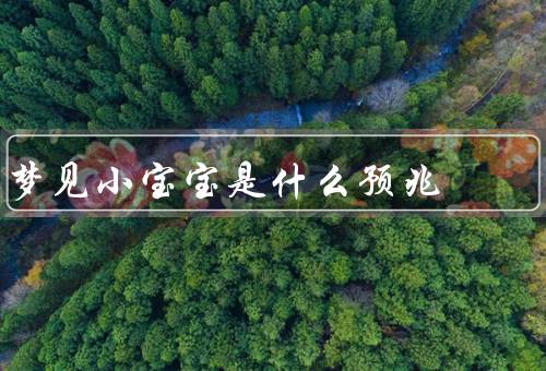 梦见小宝宝是什么预兆，从象征角度解读／代表内心的渴望