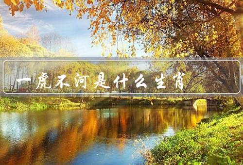 一虎不河是什么生肖，一虎不河／特征／象征意义