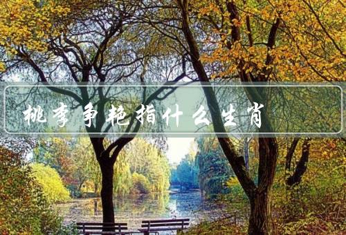 桃李争艳指什么生肖，龙／虎／马