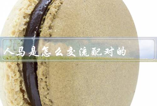 人马是怎么交流配对的（交流方式、配对方式、沟通技巧）