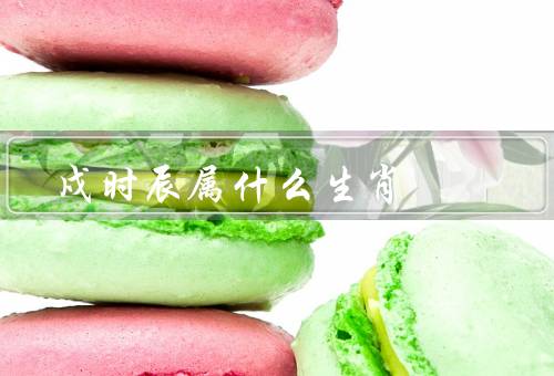 戍时辰属什么生肖，属猴／特点／适合职业