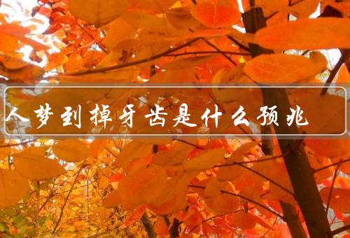 男人梦到掉牙齿是什么预兆
