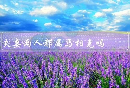 夫妻两人都属马相克吗，个性特点／沟通与理解／共同目标与价值观