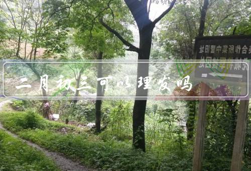 二月初三可以理发吗（习俗、意义、禁忌）