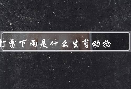 打雷下雨是什么生肖动物，龙、虎、蛇