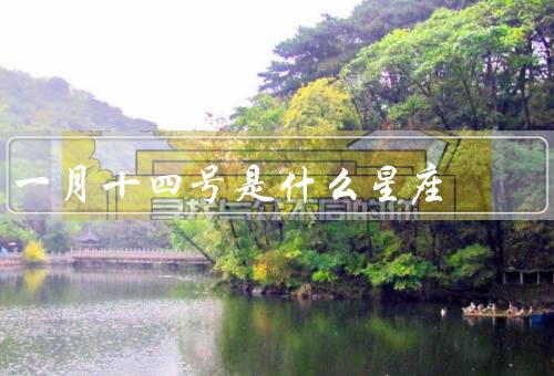 一月十四号是什么星座