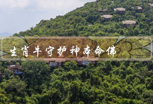 生肖牛守护神本命佛（菩萨／智慧与勤劳／稳重与坚持）