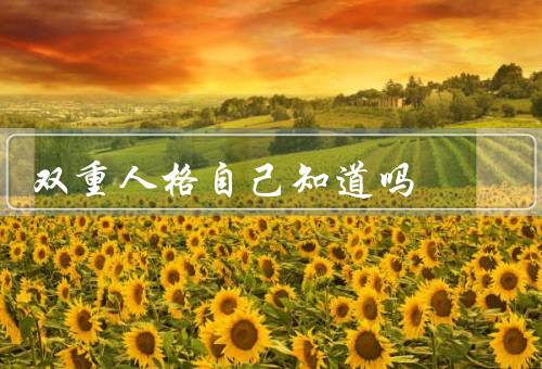 双重人格自己知道吗，定义／症状／原因