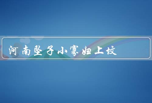 河南坠子小寡妇上坟，历史渊源／表演特点／文化传承