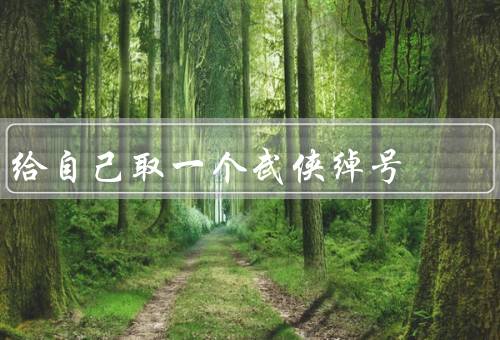 给自己取一个武侠绰号，自我／个性特点／武功特长