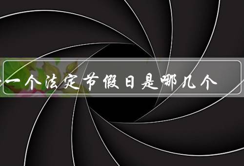 十一个法定节假日是哪几个（元旦／春节／清明节）