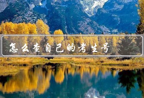 怎么查自己的考生号（登录教育考试网站、查看准考证、咨询招生部门）