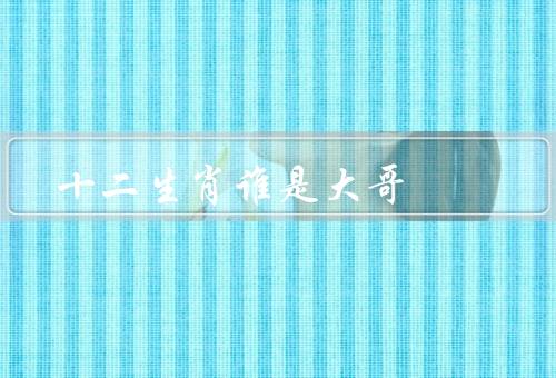 十二生肖谁是大哥，属鼠的大哥、属龙的大哥、属猴的大哥