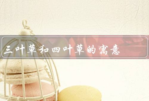 三叶草和四叶草的寓意，象征意义／四叶草的象征意义