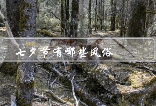 七夕节有哪些风俗，牛郎织女、穿针乞巧、观浴仪式