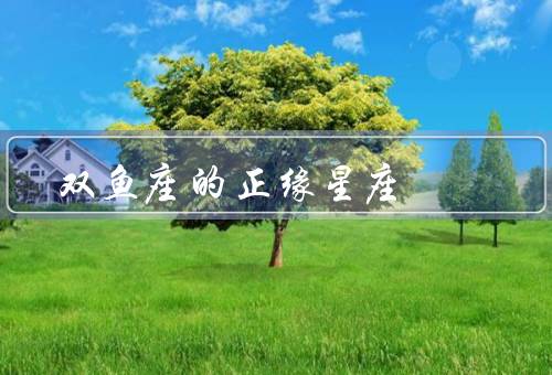 双鱼座的正缘星座（巨蟹座／天蝎座／双子座）