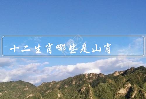 十二生肖哪些是山肖（虎／兔／蛇）