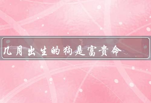 几月出生的狗是富贵命（正月出生的狗／七月出生的狗）