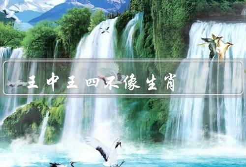 王中王四不像生肖