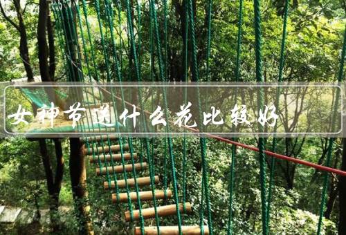 女神节送什么花比较好，玫瑰花束、康乃馨花束、郁金香花束