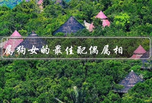 属狗女的最佳配偶属相，兔男：温柔体贴／蛇男：忠诚稳重