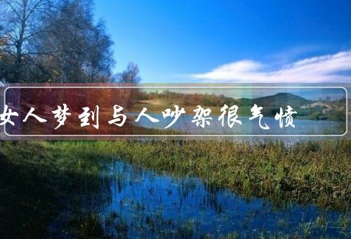 女人梦到与人吵架很气愤，背后的情绪／梦境中的争吵／吵架的寓意