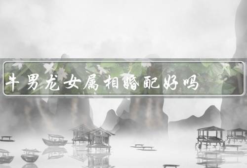 牛男龙女属相婚配好吗，相似的性格／共同的兴趣爱好