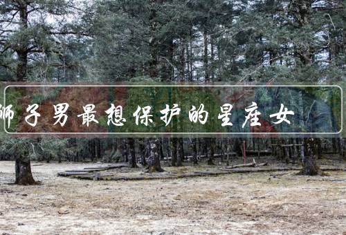 狮子男最想保护的星座女，温柔／敏感／家庭观念