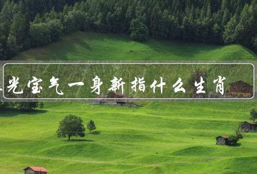 珠光宝气一身新指什么生肖，鼠／牛／虎