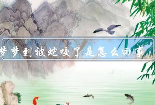 做梦梦到被蛇咬了是怎么回事（梦中被蛇咬的意义／解梦方法／小结）